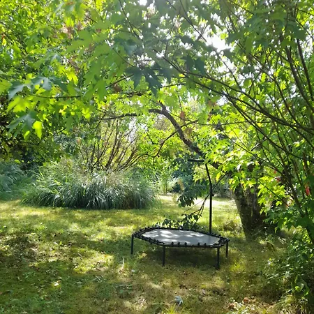 Aux Iris Saint-Leon-sur-Vezere