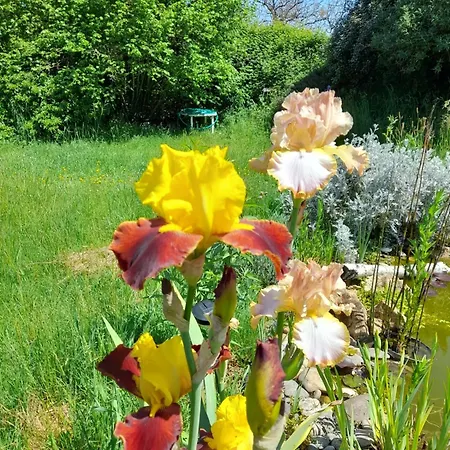 Aux Iris Ferienhaus
